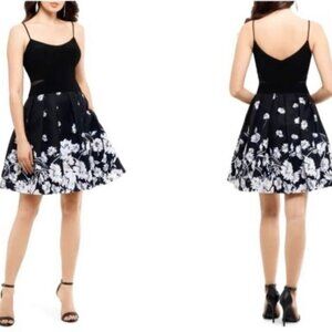 XSCAPE Women's Floral, Fit & Flare, Cocktail, Black & Ivory Dress- Size: 8